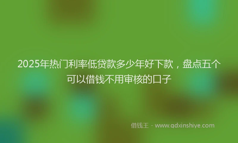2025年热门利率低贷款多少年好下款，盘点五个可以借钱不用审核的口子