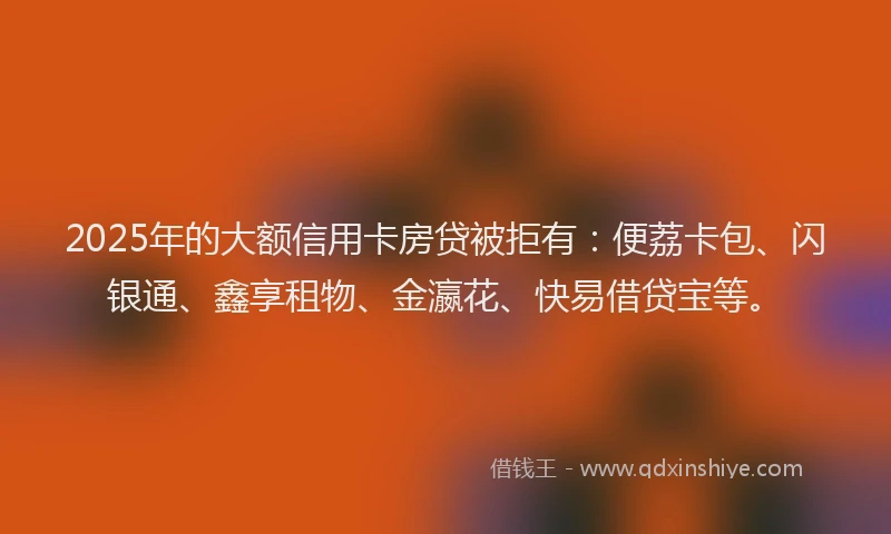 2025年的大额信用卡房贷被拒有：便荔卡包、闪银通、鑫享租物、金瀛花、快易借贷宝等。