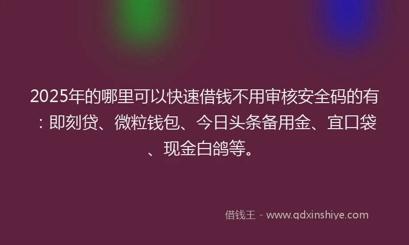 2025年的哪里可以快速借钱不用审核安全码的有：即刻贷、微粒钱包、今日头条备用金、宜口袋、现金白鸽等。