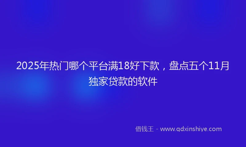 2025年热门哪个平台满18好下款，盘点五个11月独家贷款的软件