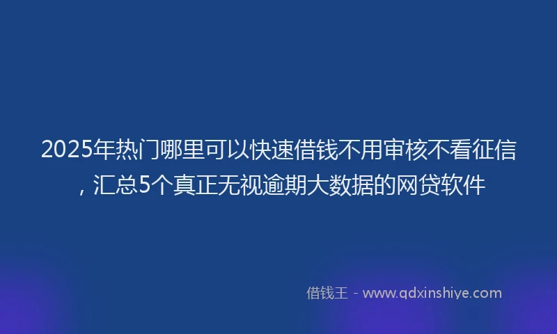 2025年热门哪里可以快速借钱不用审核不看征信，汇总5个真正无视逾期大数据的网贷软件