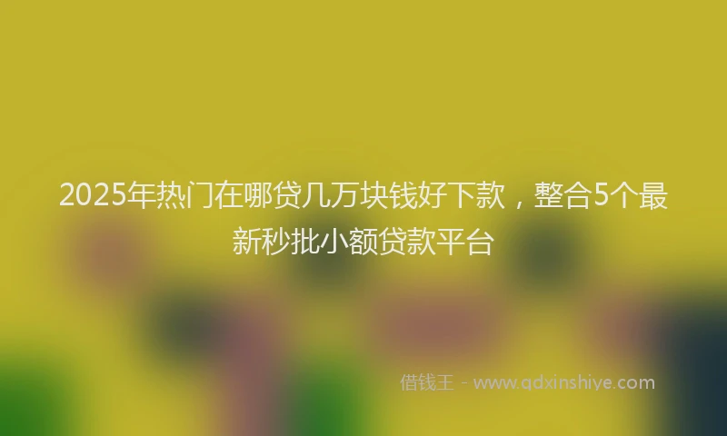 2025年热门在哪贷几万块钱好下款，整合5个最新秒批小额贷款平台