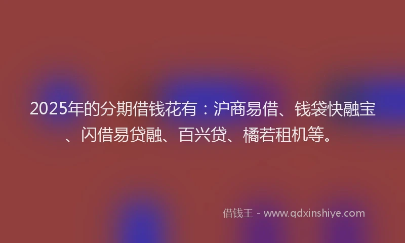 2025年的分期借钱花有：沪商易借、钱袋快融宝、闪借易贷融、百兴贷、橘若租机等。