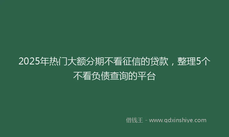 2025年热门大额分期不看征信的贷款，整理5个不看负债查询的平台