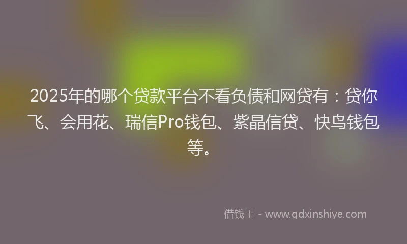 2025年的哪个贷款平台不看负债和网贷有：贷你飞、会用花、瑞信Pro钱包、紫晶信贷、快鸟钱包等。