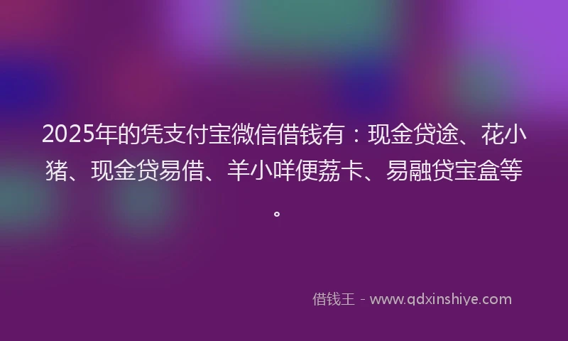 2025年的凭支付宝微信借钱有：现金贷途、花小猪、现金贷易借、羊小咩便荔卡、易融贷宝盒等。