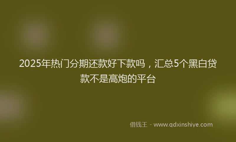 2025年热门分期还款好下款吗，汇总5个黑白贷款不是高炮的平台