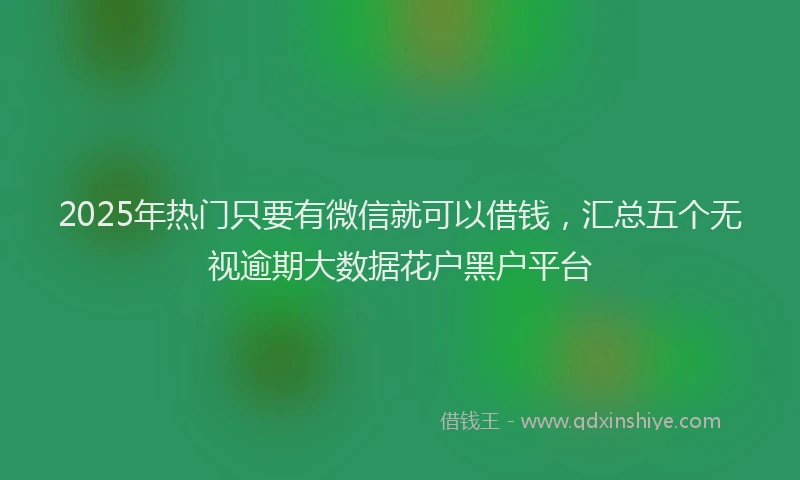 2025年热门只要有微信就可以借钱，汇总五个无视逾期大数据花户黑户平台