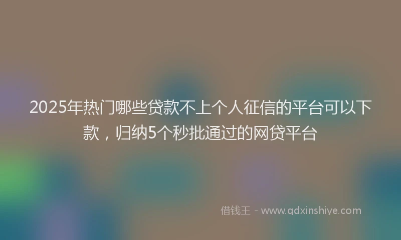 2025年热门哪些贷款不上个人征信的平台可以下款，归纳5个秒批通过的网贷平台