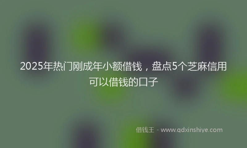 2025年热门刚成年小额借钱，盘点5个芝麻信用可以借钱的口子