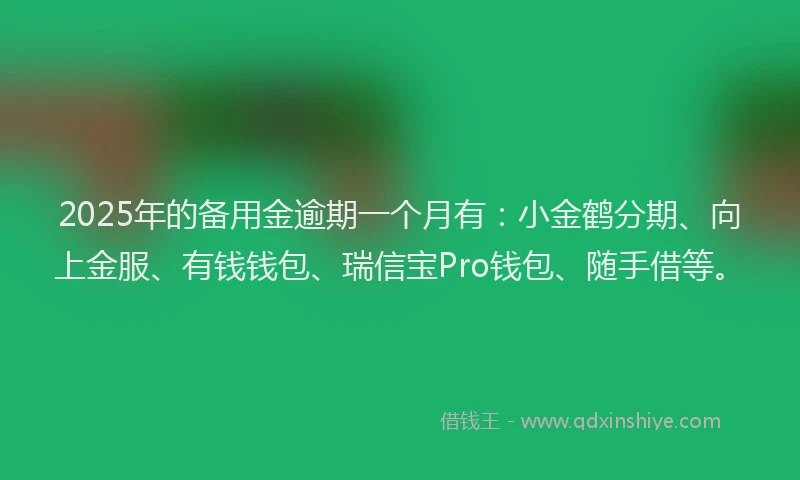 2025年的备用金逾期一个月有：小金鹤分期、向上金服、有钱钱包、瑞信宝Pro钱包、随手借等。