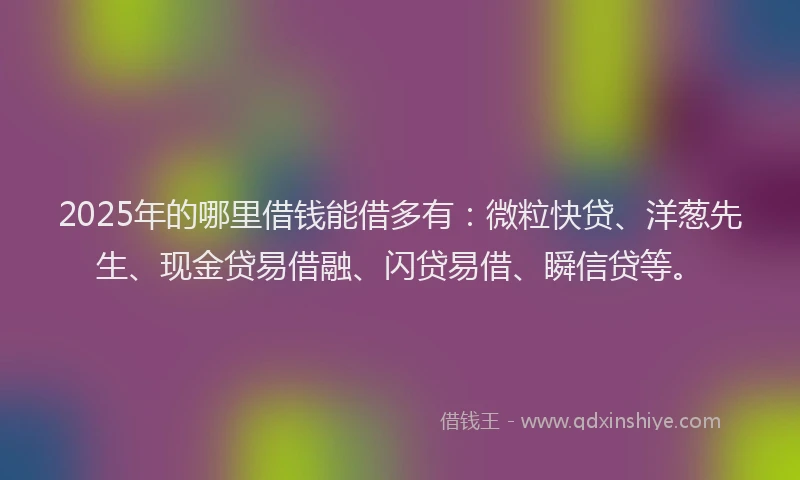 2025年的哪里借钱能借多有：微粒快贷、洋葱先生、现金贷易借融、闪贷易借、瞬信贷等。