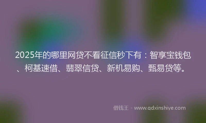 2025年的哪里网贷不看征信秒下有：智享宝钱包、柯基速借、翡翠信贷、新机易购、甄易贷等。