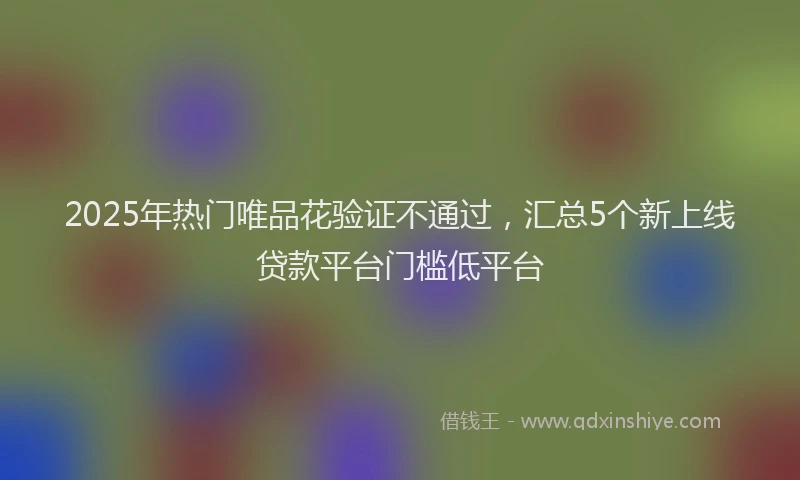 2025年热门唯品花验证不通过，汇总5个新上线贷款平台门槛低平台