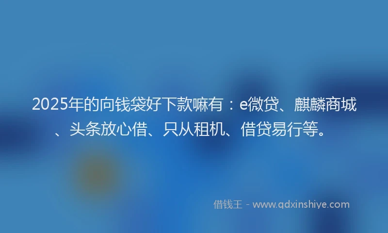 2025年的向钱袋好下款嘛有：e微贷、麒麟商城、头条放心借、只从租机、借贷易行等。