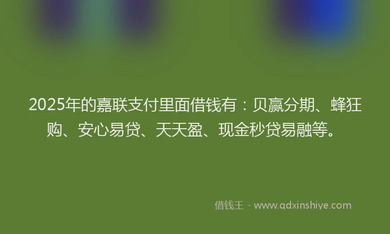 2025年的嘉联支付里面借钱有：贝赢分期、蜂狂购、安心易贷、天天盈、现金秒贷易融等。