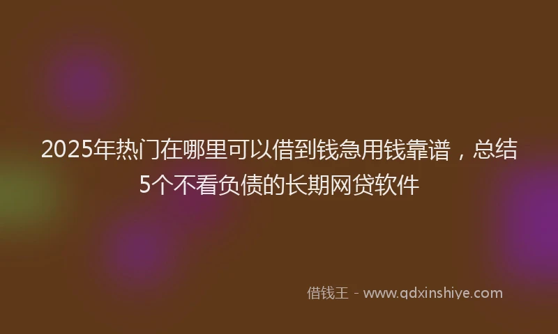 2025年热门在哪里可以借到钱急用钱靠谱，总结5个不看负债的长期网贷软件
