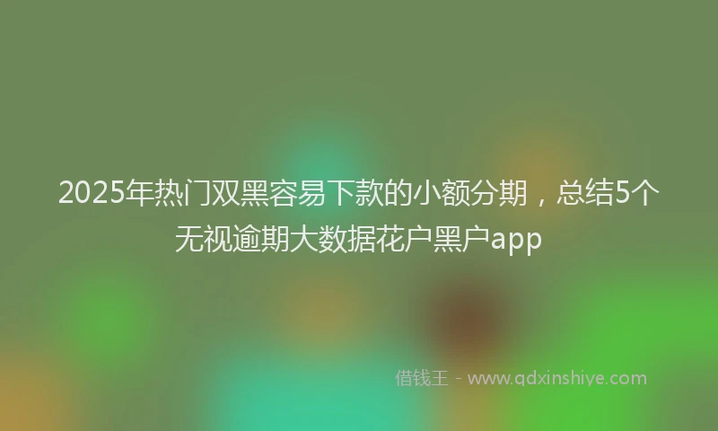 2025年热门双黑容易下款的小额分期，总结5个无视逾期大数据花户黑户app