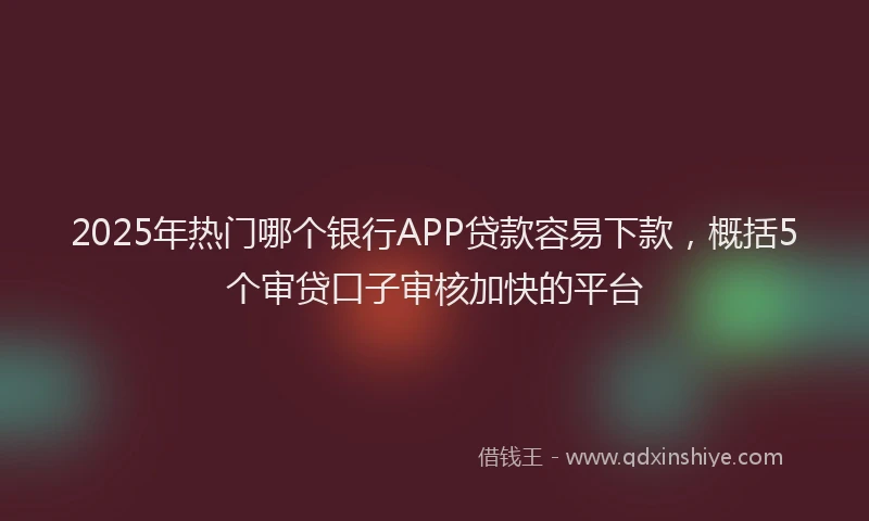 2025年热门哪个银行APP贷款容易下款，概括5个审贷口子审核加快的平台
