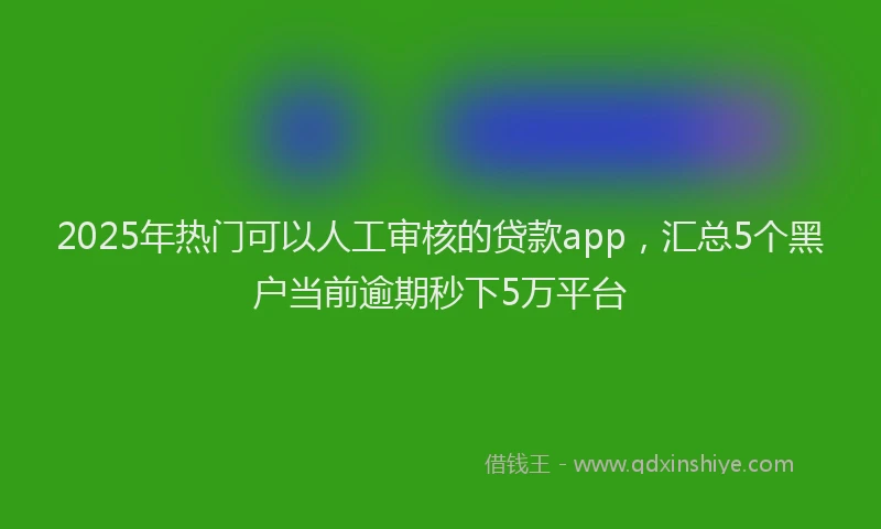 2025年热门可以人工审核的贷款app，汇总5个黑户当前逾期秒下5万平台
