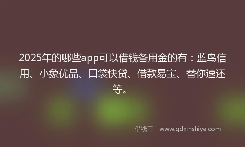2025年的哪些app可以借钱备用金的有：蓝鸟信用、小象优品、口袋快贷、借款易宝、替你速还等。