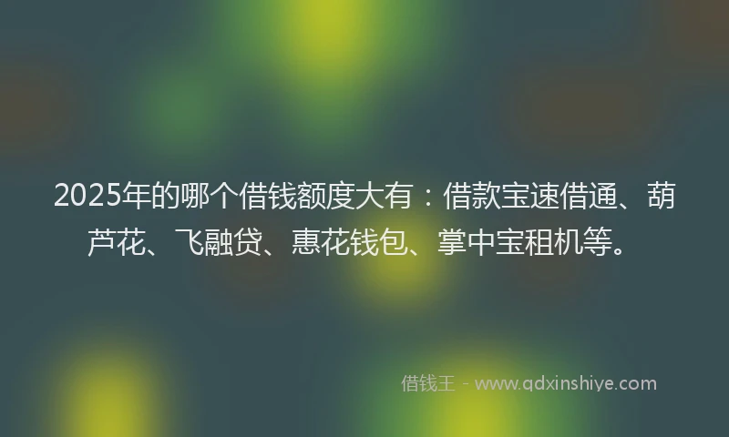 2025年的哪个借钱额度大有：借款宝速借通、葫芦花、飞融贷、惠花钱包、掌中宝租机等。
