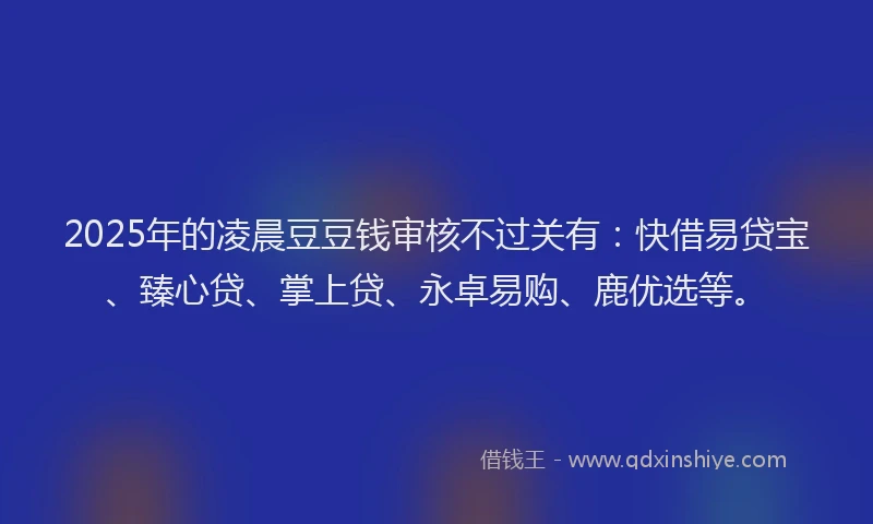 2025年的凌晨豆豆钱审核不过关有：快借易贷宝、臻心贷、掌上贷、永卓易购、鹿优选等。