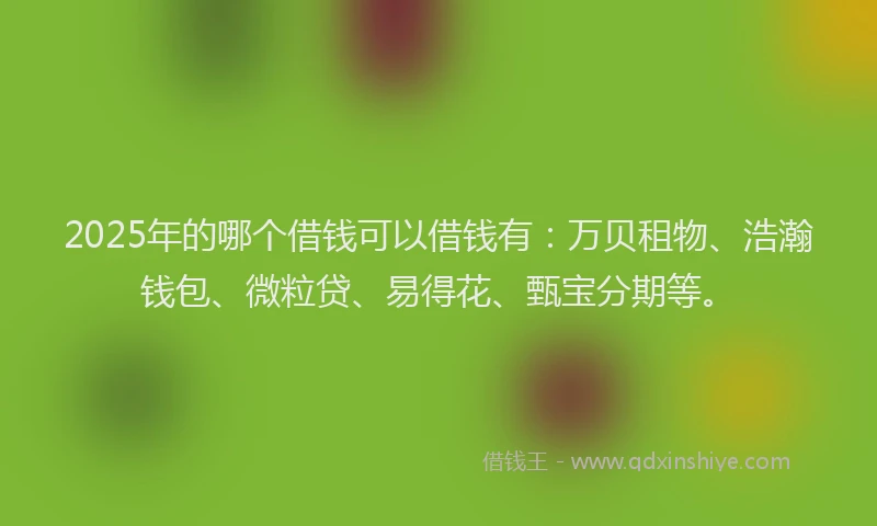 2025年的哪个借钱可以借钱有：万贝租物、浩瀚钱包、微粒贷、易得花、甄宝分期等。