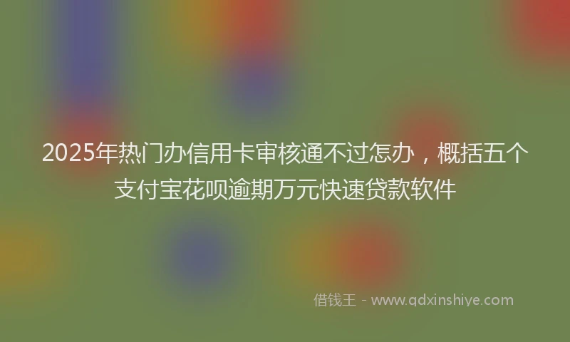 2025年热门办信用卡审核通不过怎办，概括五个支付宝花呗逾期万元快速贷款软件