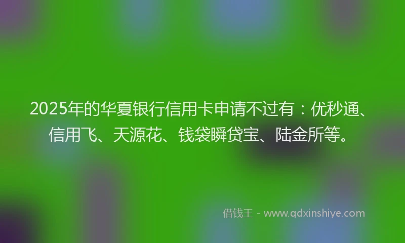 2025年的华夏银行信用卡申请不过有：优秒通、信用飞、天源花、钱袋瞬贷宝、陆金所等。