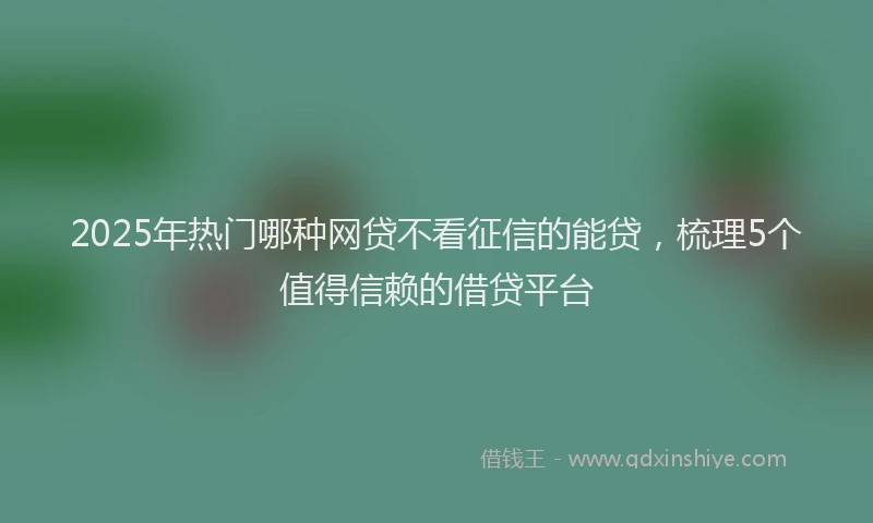 2025年热门哪种网贷不看征信的能贷，梳理5个值得信赖的借贷平台