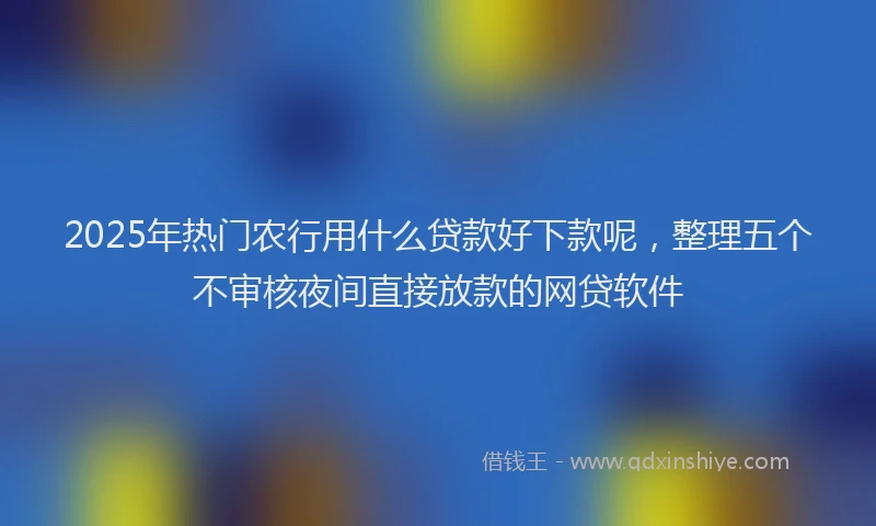 2025年热门农行用什么贷款好下款呢，整理五个不审核夜间直接放款的网贷软件