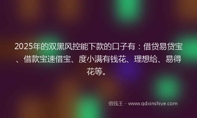 2025年的双黑风控能下款的口子有：借贷易贷宝、借款宝速借宝、度小满有钱花、理想给、易得花等。