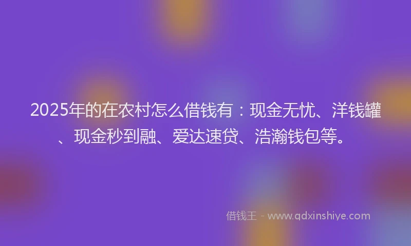 2025年的在农村怎么借钱有：现金无忧、洋钱罐、现金秒到融、爱达速贷、浩瀚钱包等。