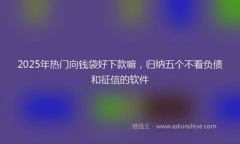 2025年热门向钱袋好下款嘛，归纳五个不看负债和征信的软件