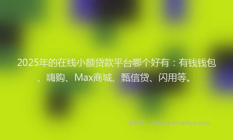 2025年的在线小额贷款平台哪个好有：有钱钱包、嗨购、Max商城、甄信贷、闪用等。