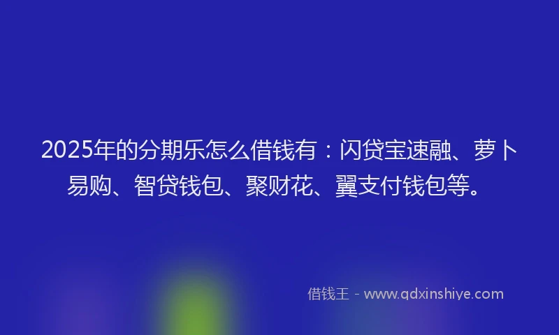 2025年的分期乐怎么借钱有：闪贷宝速融、萝卜易购、智贷钱包、聚财花、翼支付钱包等。