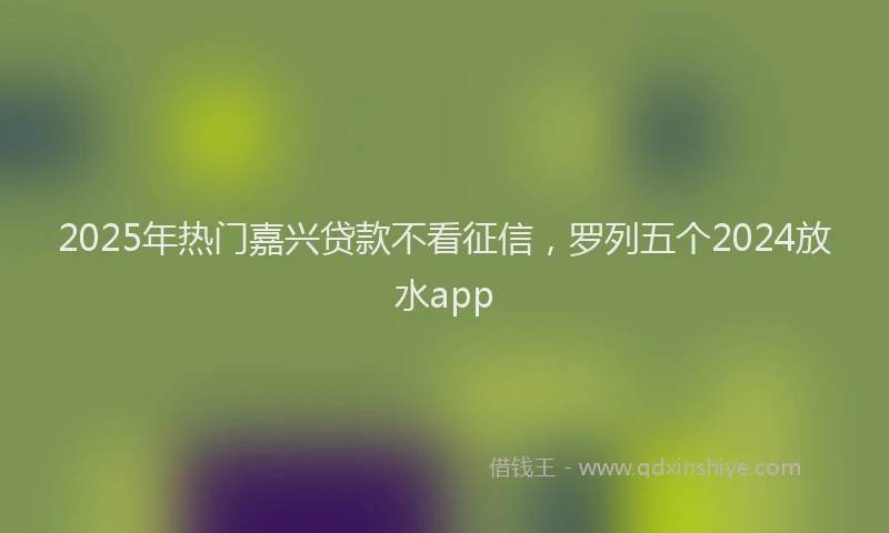 2025年热门嘉兴贷款不看征信，罗列五个2024放水app