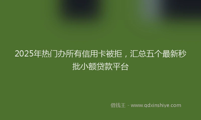 2025年热门办所有信用卡被拒，汇总五个最新秒批小额贷款平台