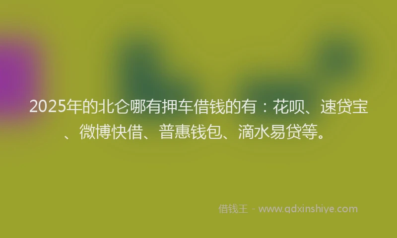 2025年的北仑哪有押车借钱的有：花呗、速贷宝、微博快借、普惠钱包、滴水易贷等。