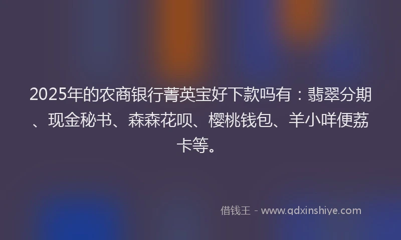 2025年的农商银行菁英宝好下款吗有：翡翠分期、现金秘书、森森花呗、樱桃钱包、羊小咩便荔卡等。