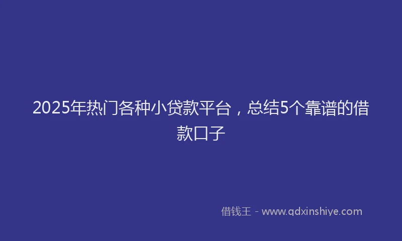2025年热门各种小贷款平台，总结5个靠谱的借款口子