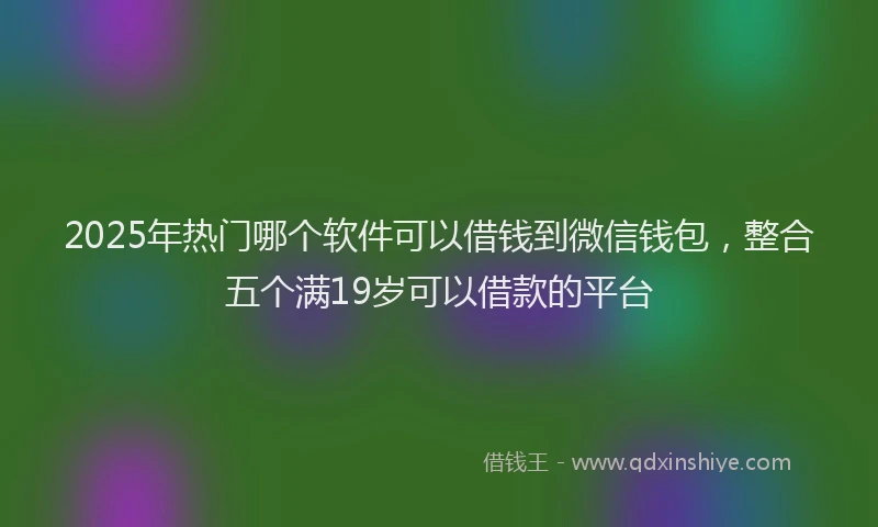 2025年热门哪个软件可以借钱到微信钱包，整合五个满19岁可以借款的平台