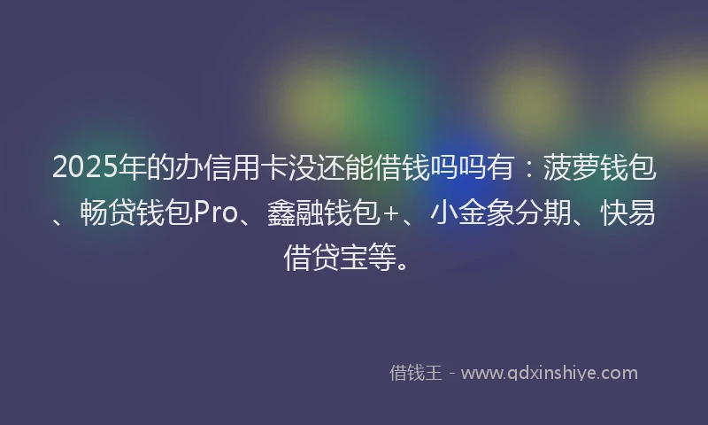 2025年的办信用卡没还能借钱吗吗有：菠萝钱包、畅贷钱包Pro、鑫融钱包+、小金象分期、快易借贷宝等。