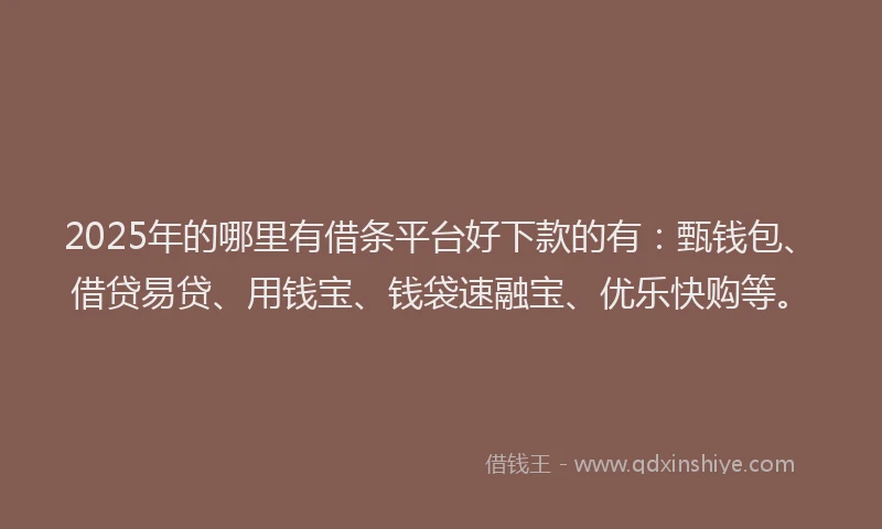 2025年的哪里有借条平台好下款的有：甄钱包、借贷易贷、用钱宝、钱袋速融宝、优乐快购等。