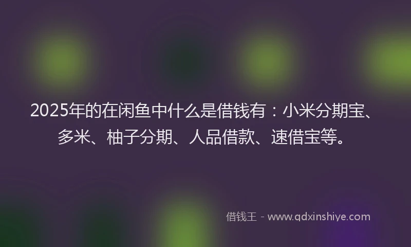 2025年的在闲鱼中什么是借钱有：小米分期宝、多米、柚子分期、人品借款、速借宝等。