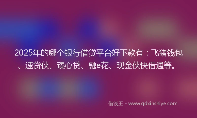 2025年的哪个银行借贷平台好下款有：飞猪钱包、速贷侠、臻心贷、融e花、现金侠快借通等。