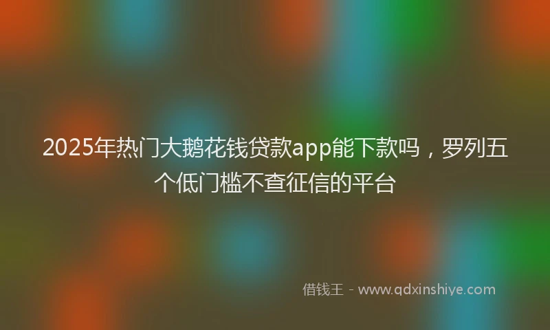 2025年热门大鹅花钱贷款app能下款吗，罗列五个低门槛不查征信的平台