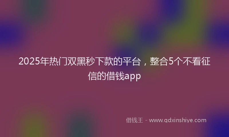 2025年热门双黑秒下款的平台，整合5个不看征信的借钱app