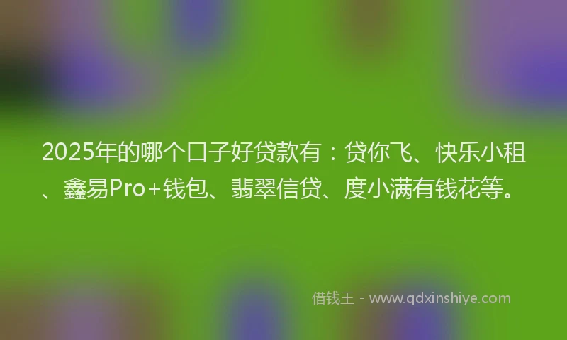 2025年的哪个口子好贷款有：贷你飞、快乐小租、鑫易Pro+钱包、翡翠信贷、度小满有钱花等。